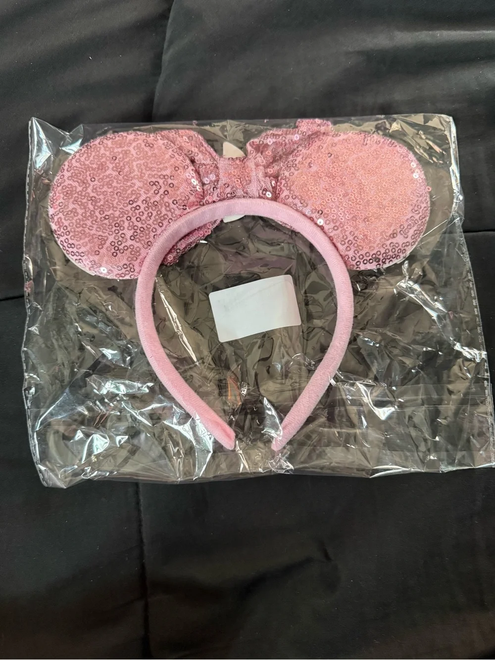 Mulan Mickey Ears